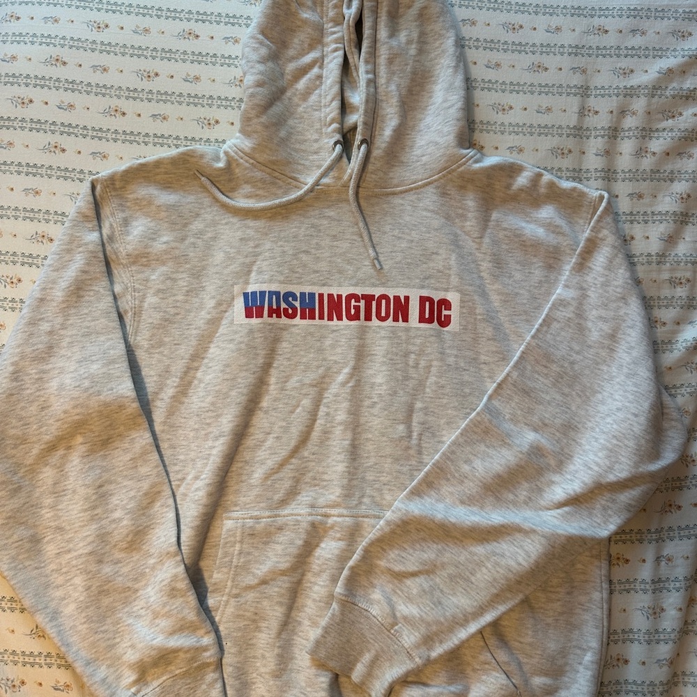 Gray Washington DC Hoodie